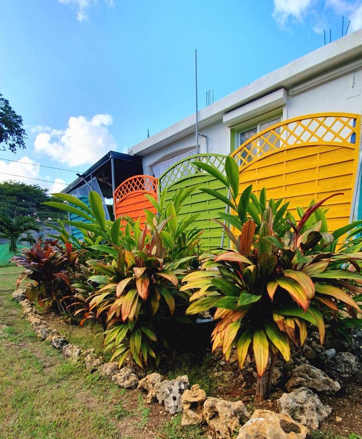 Maison Confortable A Sainte-Anne エクステリア 写真